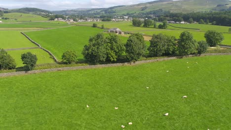 Drone-footage-over-a-field-of-sheep-moving-and-panning-to-reveal-countryside,-hills,-fields,-dry-stone-walls,-farmland-and-the-landscape-around-the-rural-village-of-Settle,-North-Yorkshire,-UK