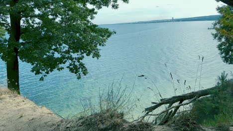 wide shot of green trees at sea shore and ocean in background during summertime,static