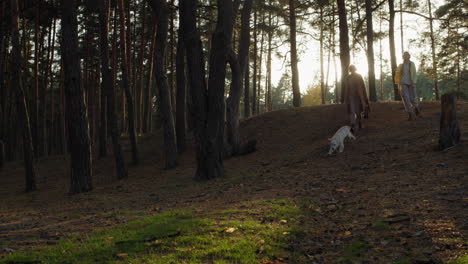 A-woman-with-her-daughter-and-a-dog-walk-through-the-autumn-forest-at-sunset