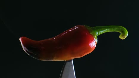 bbq smoked red hot chili pepper commercial plant up close