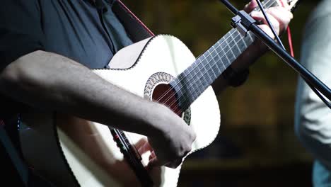 Persona-Tocando-La-Viola-En-Concierto-En-Vivo