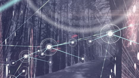 animación de la red de conexiones con iconos sobre el bosque