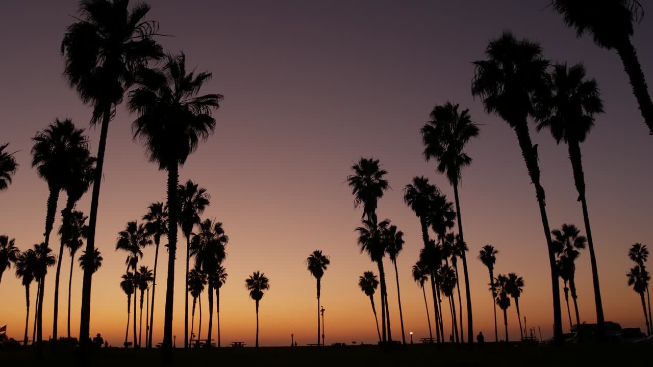 Silhouettes of people and palm trees on beach at sunset, California coast, USA.