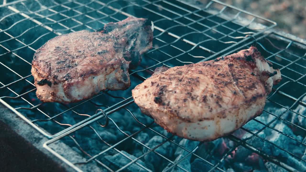 Closeup Pork Kebabs Barbecuing on Metal Skewers. Pork Meat Grilling on Brazier