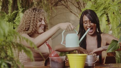 two women enjoying gardening together in a lush green environment