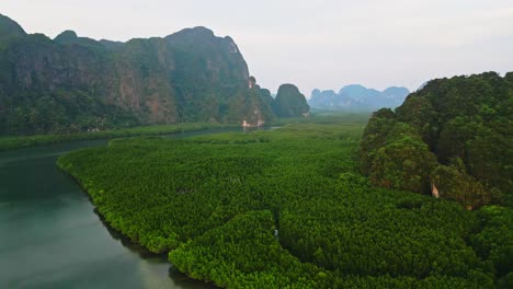 forward drone shot of mangrove forest in krabi, south of thailand in andaman sea