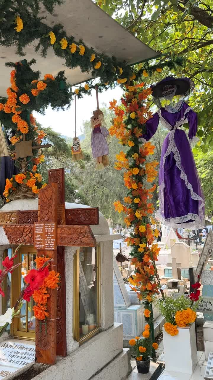 Cemetery adorned with cempasuchil blooms for Day of the Dead remembrance in Mexico