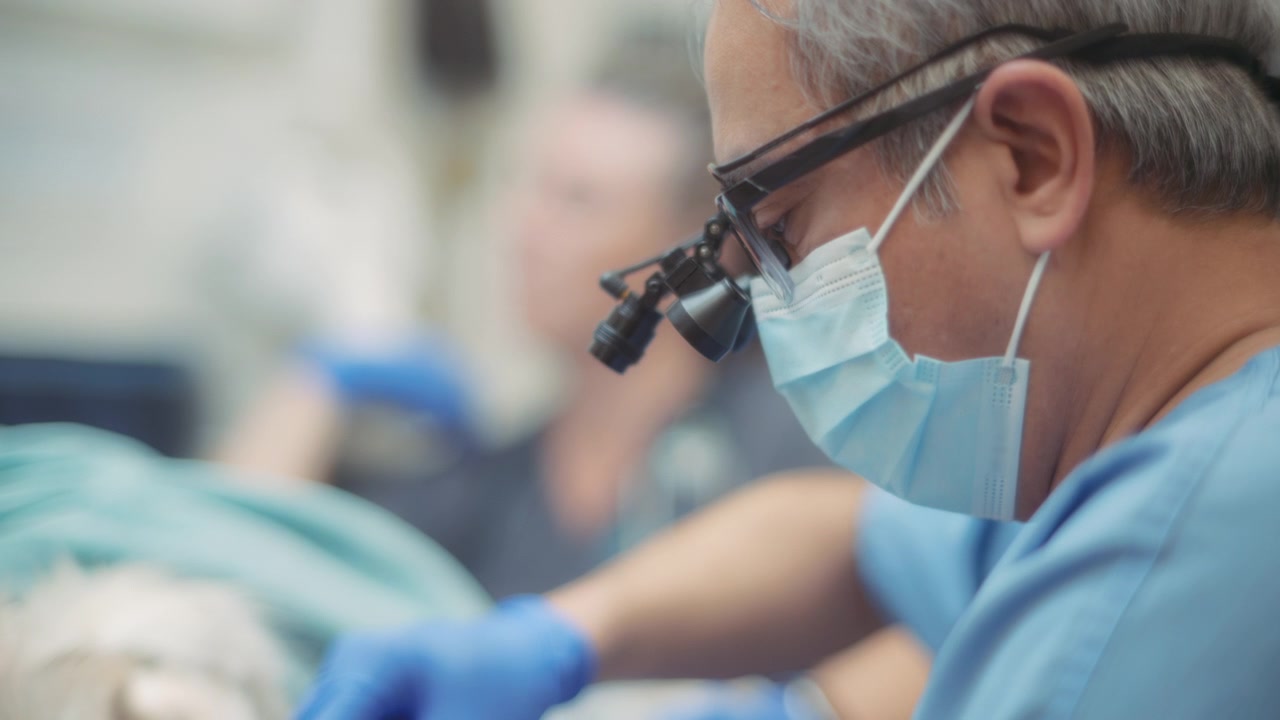 Chirurgo veterinario in clinica