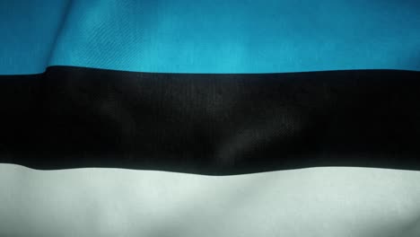 flag of estonia waving in the wind