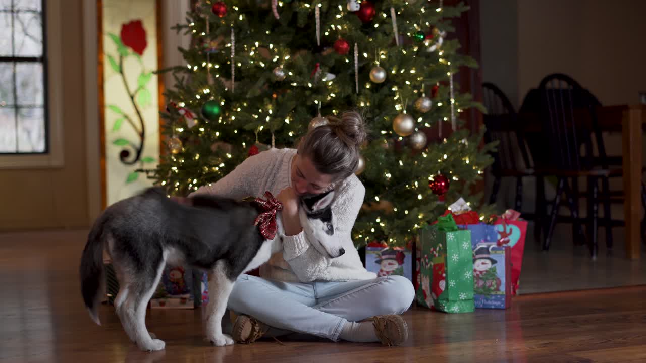 크리스마스 트리 아래에 앉아있는 동안 여자 포옹과 애완 동물 귀여운 허스키 강아지