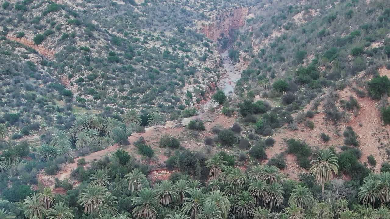 Vista aerea di palme e colline in Marocco in un momento tranquillo della giornata.