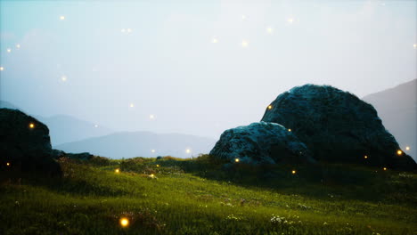 big-stones-in-grass-field