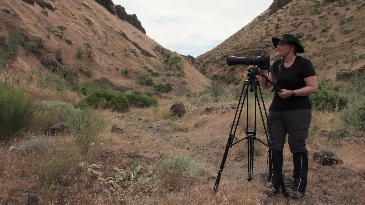 sagebrush coulee: fotógrafa mulher ajusta câmera de lente grande em tripé