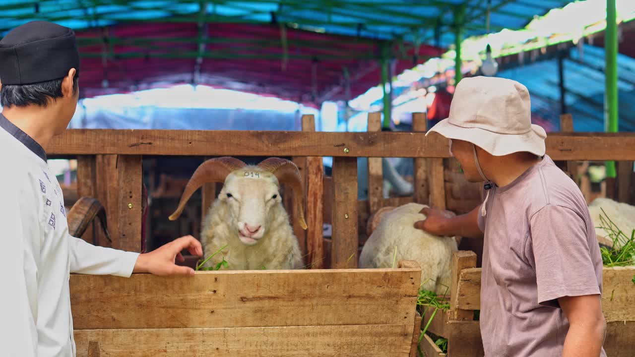 Muslim Man Looking For A Goat To Buy And Negotiate With Farmer at The Cattle Farm. Islamic and Eid Al Adha Concept.