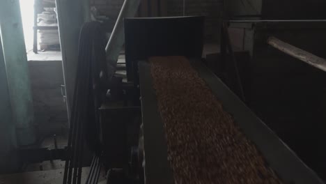 grain on transportation belt conveyor