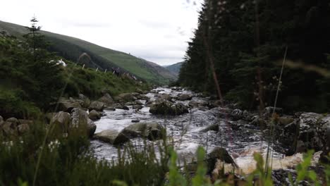 Beautiful-view-of-The-Glenmacnass-River