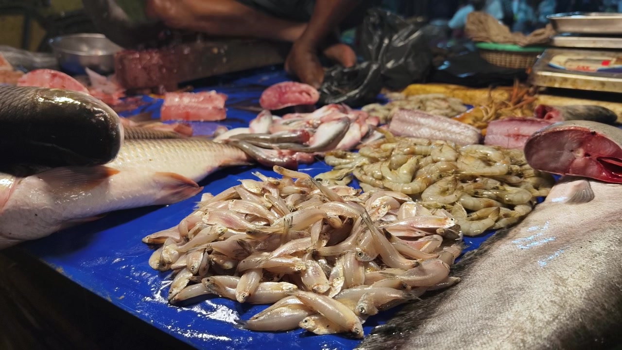 A closeup shot of various fresh fish, shrimp, and prawns displayed on a blue tarp at a local street market in India. Perfect for culinary, travel, and cultural documentaries.