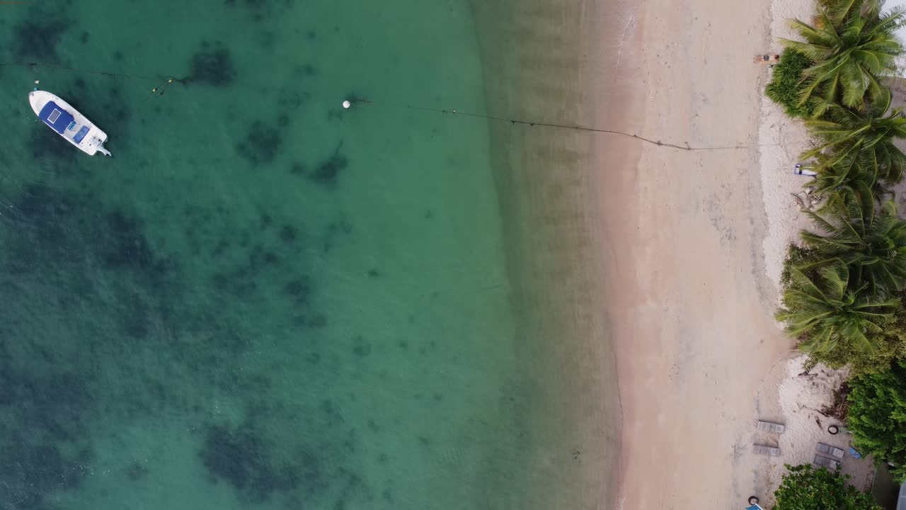 Scatto con drone a volo d'uccello di una spiaggia e palme in Thailandia con una piccola barca nell'acqua.