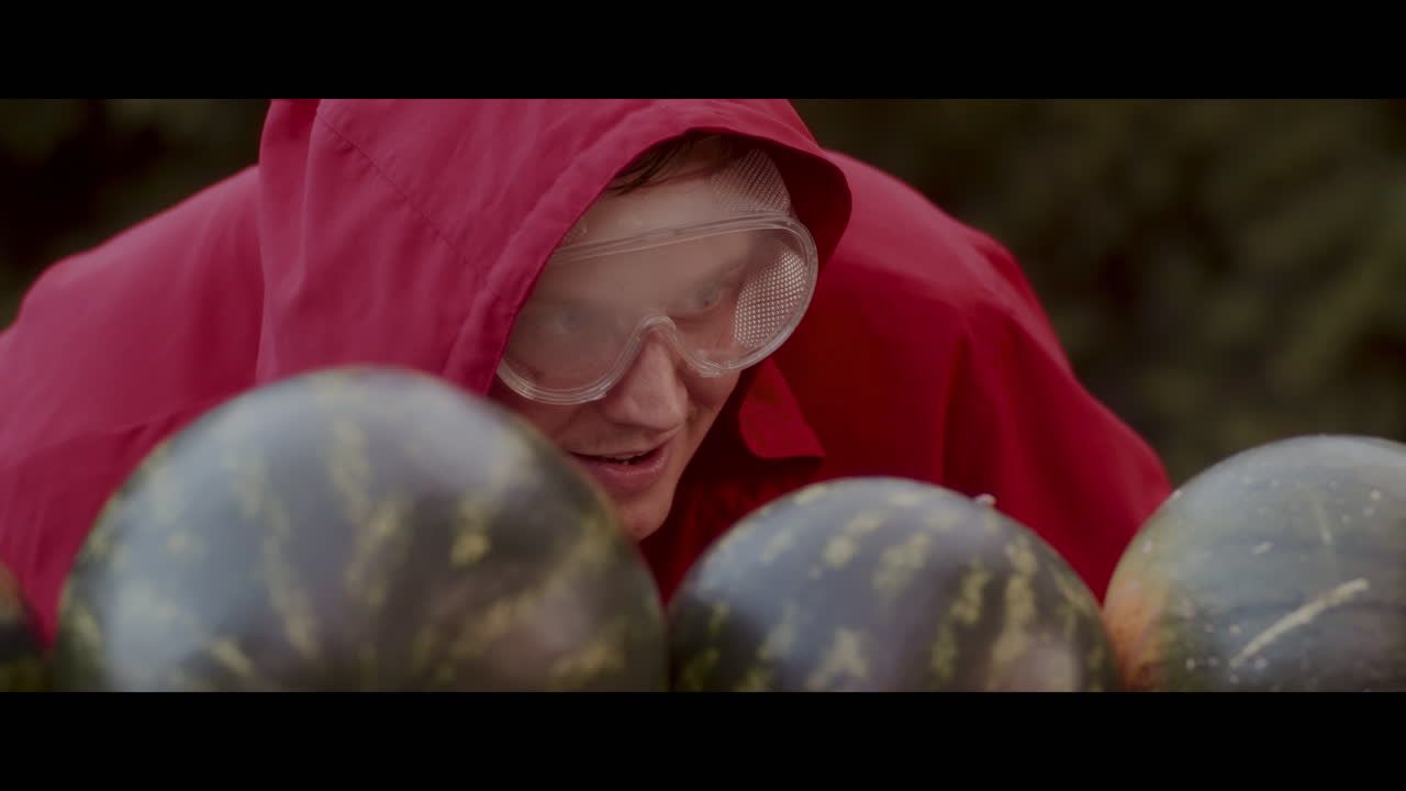 Watermelon Experiment