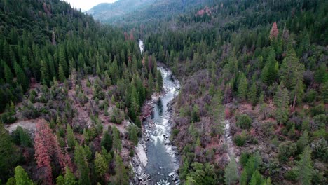 Wald-Mit-Flussweitwinkel