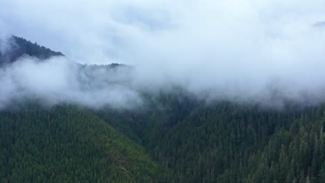 landscape aerial moving into foggy valley in rugged evergreen forest