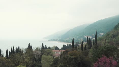 misty coastal town view