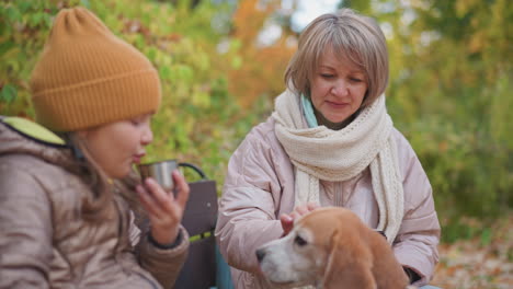 closeup of girl reaching for metal cup from mother seated on park bench, while woman gently touches dog head with affectionate smile, surrounded by warm autumn colors and leafy forest background