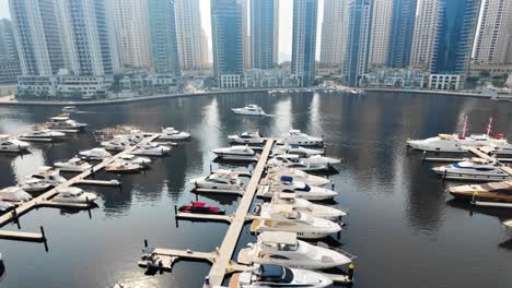 daytime view of yachts and skyscrapers in dubai marina