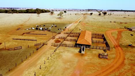 Vista-Giratoria-De-Drones-De-Vacas-En-Kraal,-Varios-Campamentos,-Vista-De-Granja