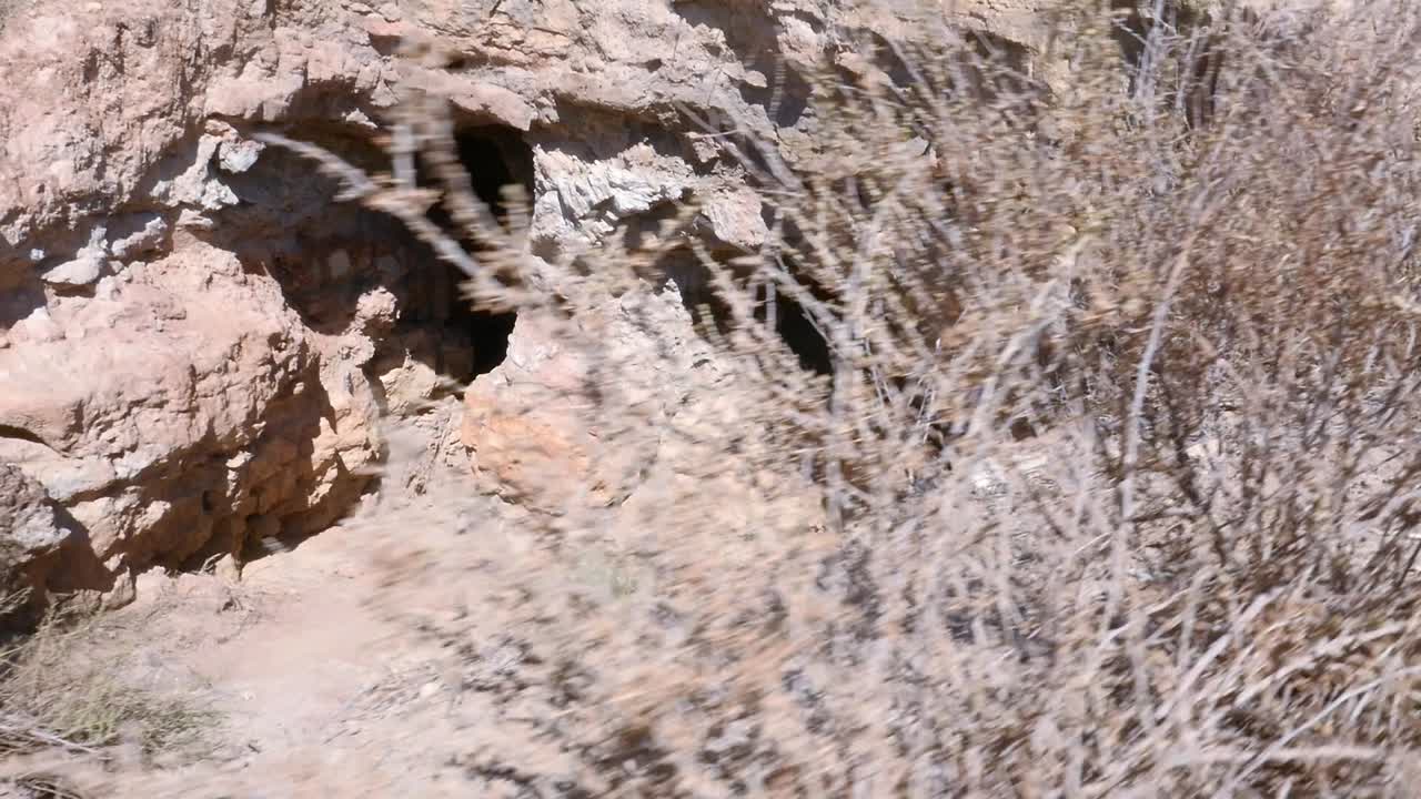 건조한 환경의 사암에 새겨진 동굴