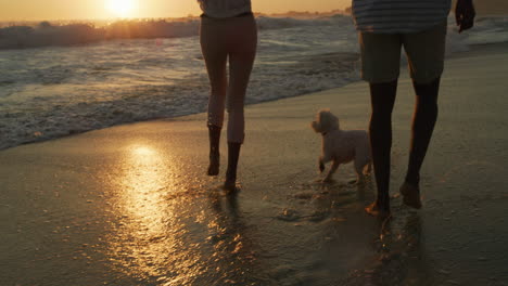 they all love the beach