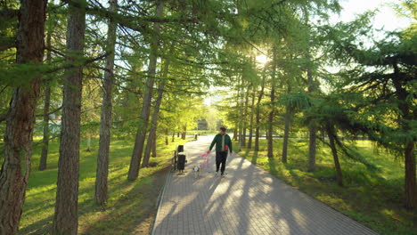 man going with dog through park