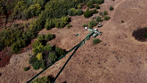 Wildlife capture in boma and pushing wildebeest into loading trucks, top aerial