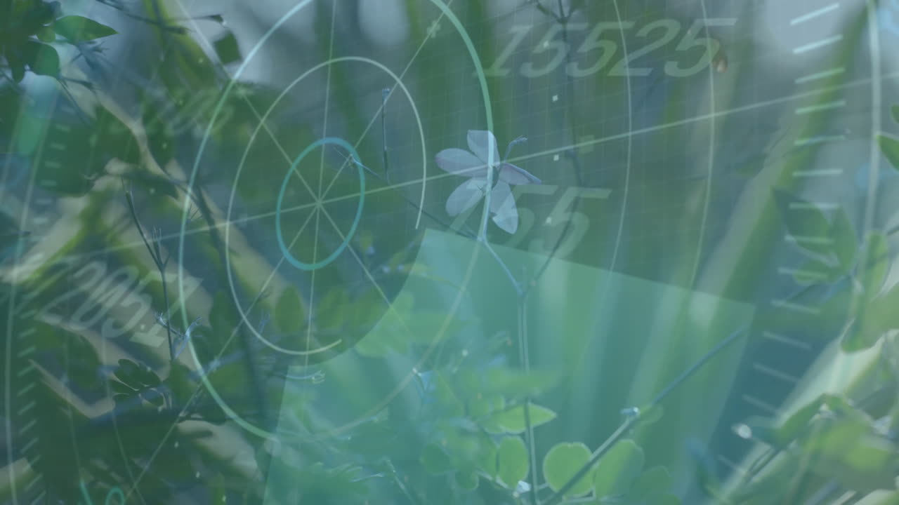 orientación de la animación de radar sobre plantas verdes y números