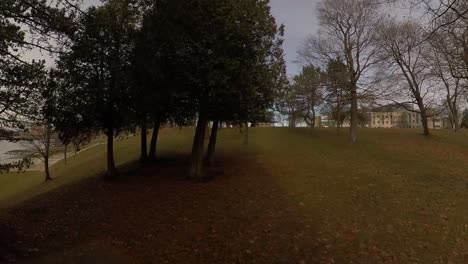 waterfront walk in the park day time, - gimbal