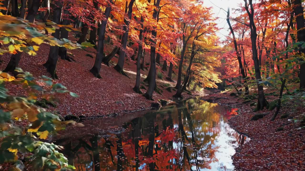 A serene autumn forest scene with vibrant foliage reflected in a stream, captured from a low-angle