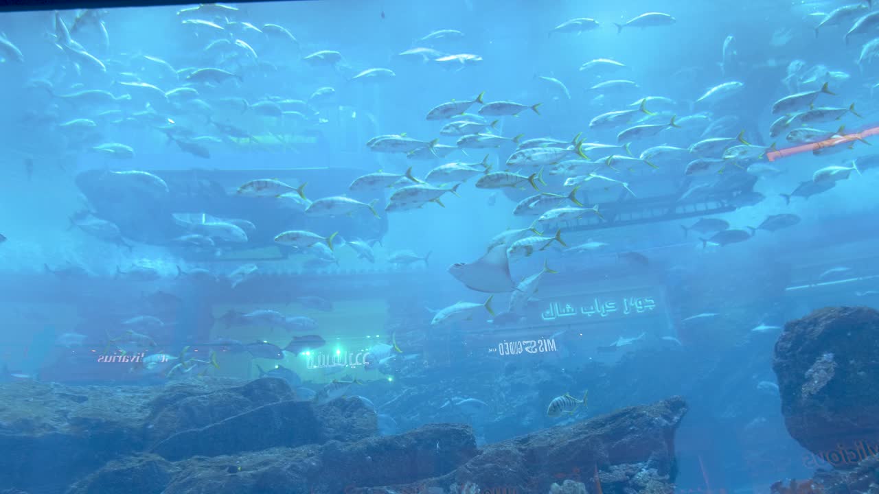 두바이 호텔 아틀란티스의 거대한 수족관