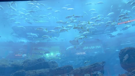 Acuario-Gigante-En-El-Hotel-Atlantis,-Dubai