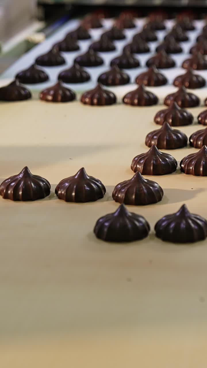 Confectionary plant workers take away the chocolate marshmallows from conveyor. Packing of sweet desserts at the factory. Close up. Vertical video