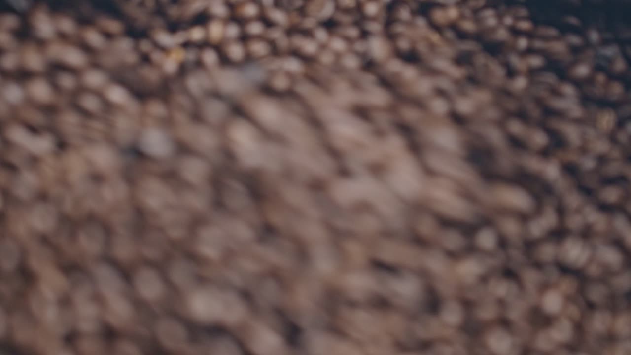 tostadora de café industrial, proceso de tostado, de cerca