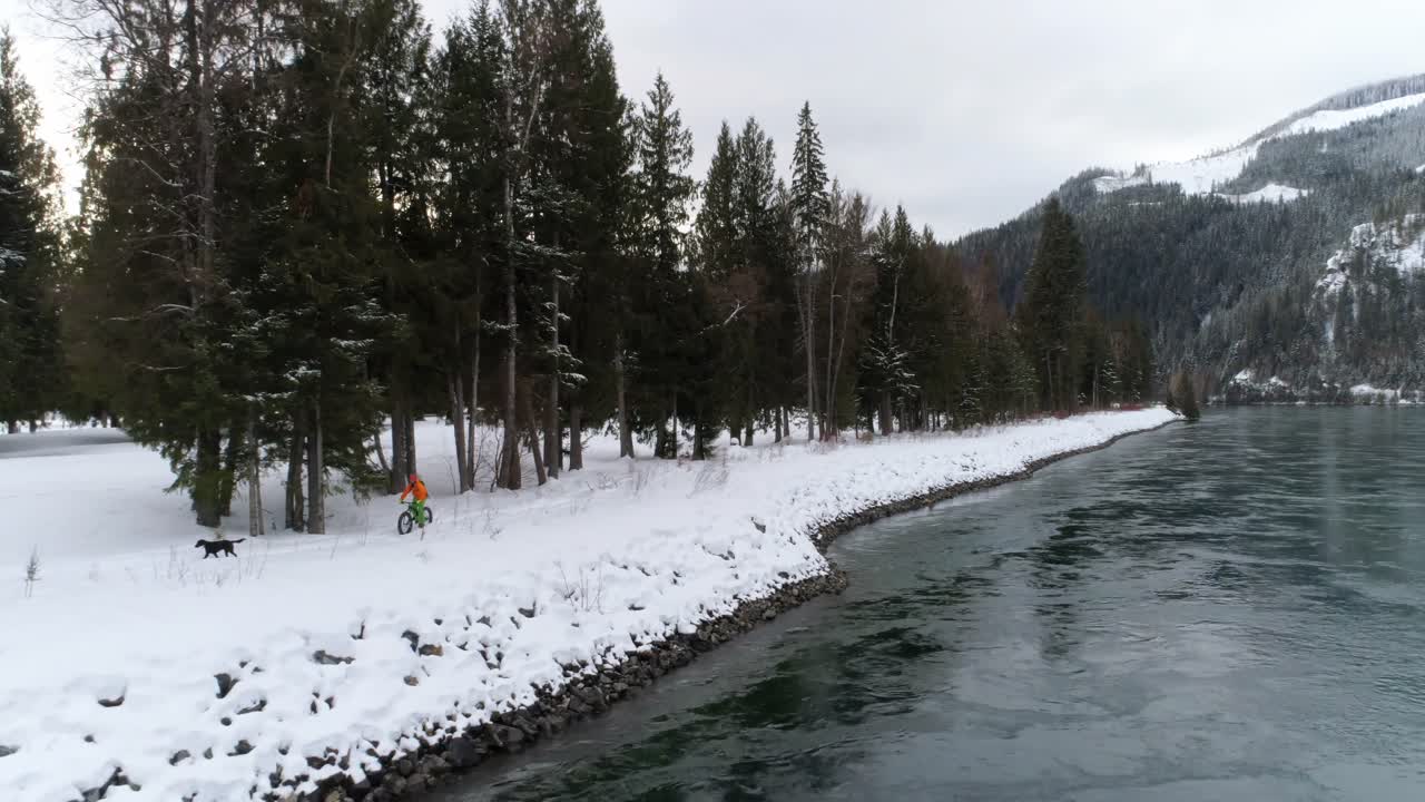 눈  ⁇ 인 숲에서 개와 함께 자전거를 타는 남자 4k