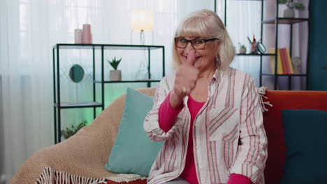 grandmother old woman looking at camera raises thumbs up agrees with something positive good at home
