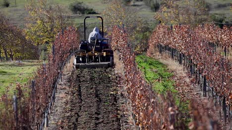 an agricultural worker drives a tractor with a disc in a california vineyard