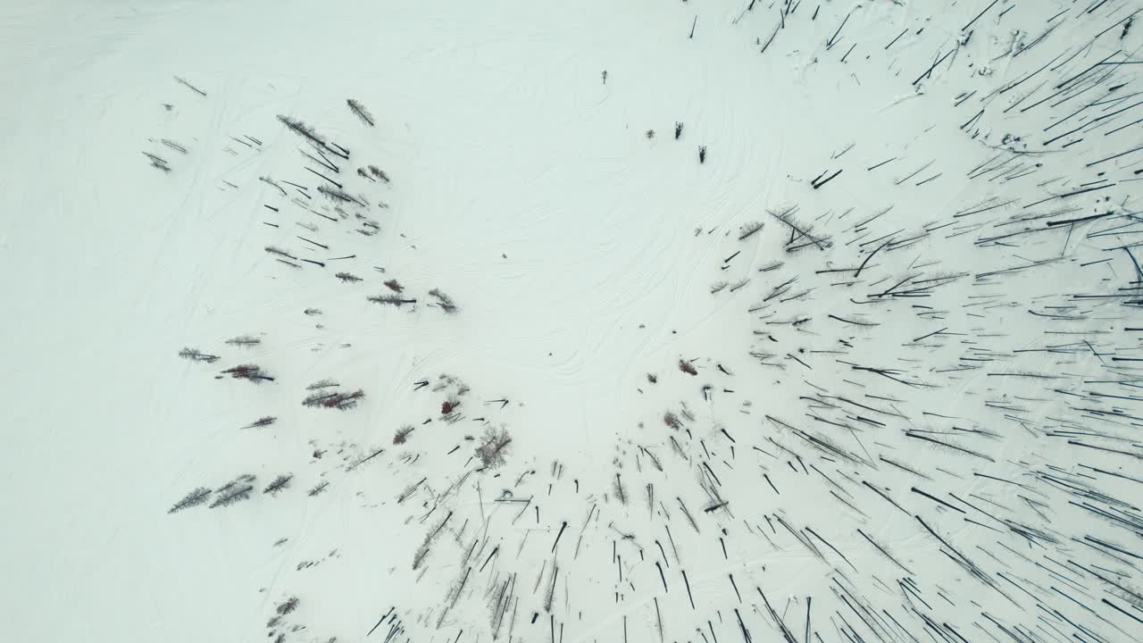 雪地摩托車在大湖科羅拉多州