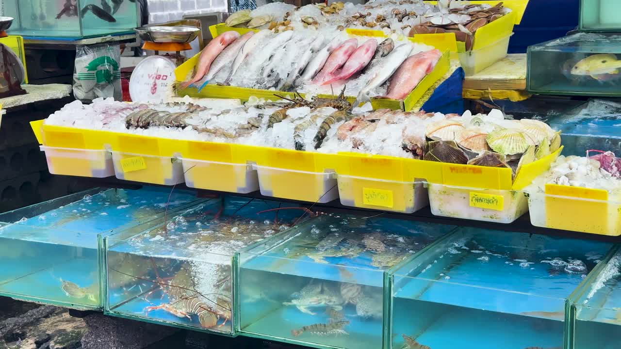 Assorted fresh fish and shellfish in trays and tanks at bustling Phuket seafood market, daylight