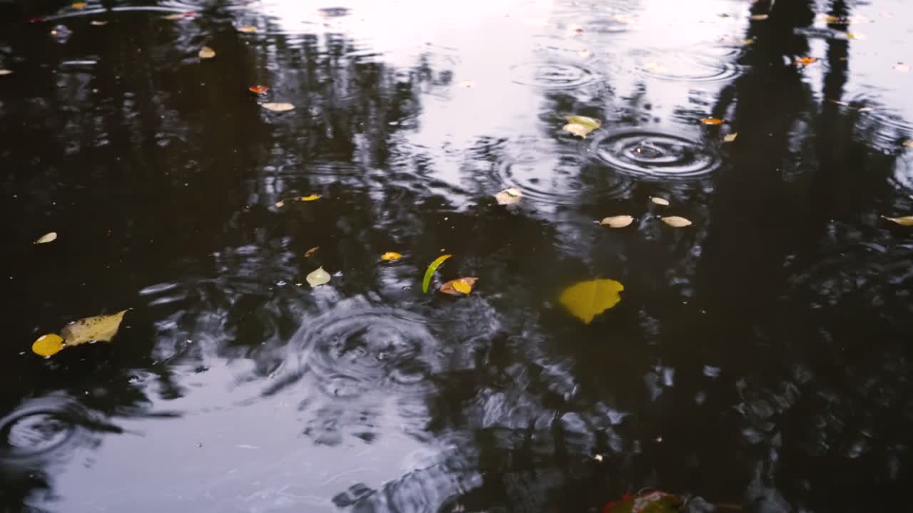 Autumn rain in bad weather, rain drops on the surface of the puddle with fallen leaves.