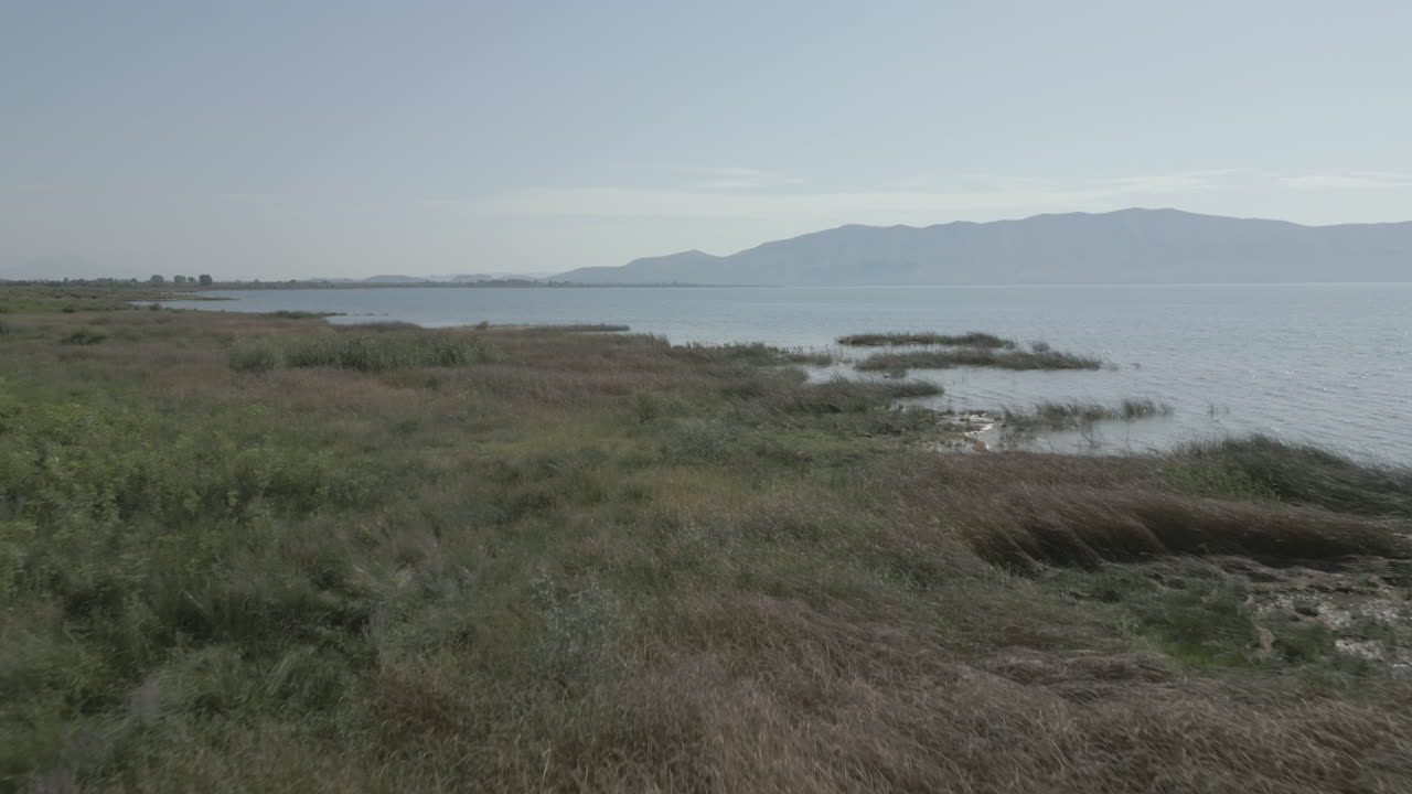 drone filmado volando sobre el lago shkodra en albania con montañas en el fondo y plantas verdes hierba naturaleza por debajo en un día soleado con niebla por encima del tronco del lago