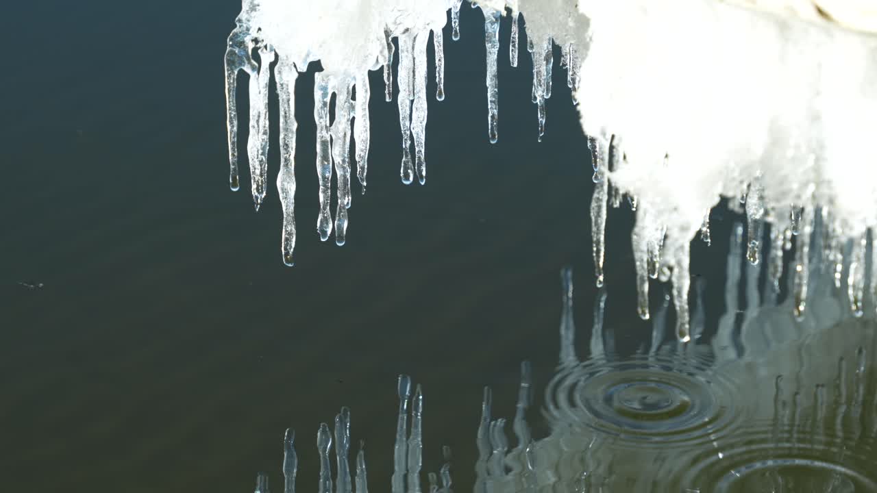 Thin icicles melting and dripping in the morning sun, close-up details