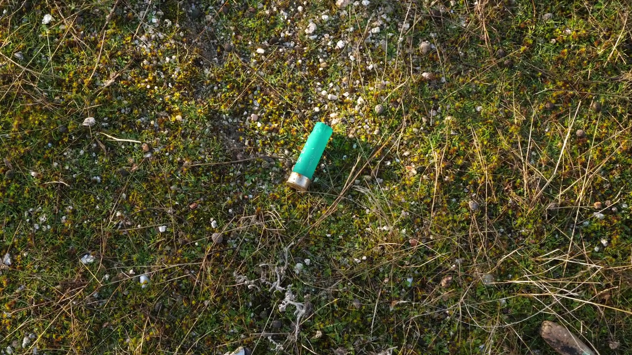 Scatto dall'alto di una cartuccia di fucile da caccia esaurita verde lasciata sull'erba. Concetto per rifiuti di caccia, impatto ambientale, conseguenze dello sparo, contaminazione della natura e dettaglio esterno