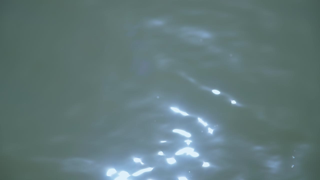 穏やかな水面にきらめく太陽光の反射